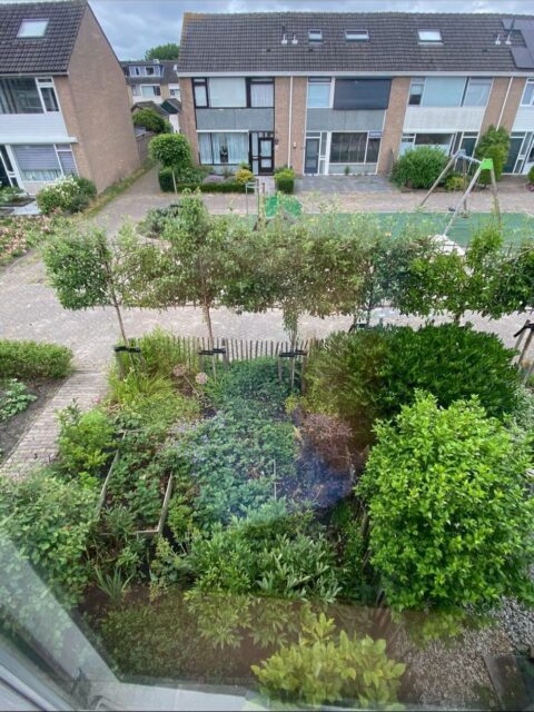 Van vol en groen naar modern en strak. In samenwerking met de klant deze voortuin aan mogen leggen. Nu wachten op mooi weer zodat ze de plantjes erin kunnen zetten 🌹🌸🌺 Veel plezier van jullie nieuwe onderhoudsarme tuin.