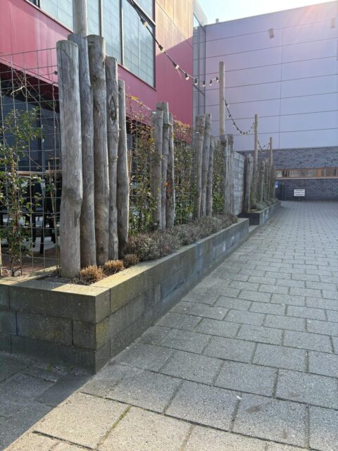 Onderhoud bij @fierpijnacker uitgevoerd zodat u weer kunt genieten van een heerlijk bakkie op een mooi onderhouden terras🪻🪻Ook hebben we de beregening uitgebreid en nieuwe plantjes aangeplant. Een extra afstapje met een mooi hekje erbij en het plaatje is weer compleet om aan de zomer te beginnen☀️