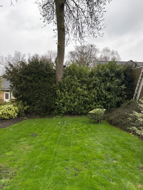 Ook voor onderhoud of een extra aanpassing aan uw tuin, staan wij voor u klaar💪🏻.