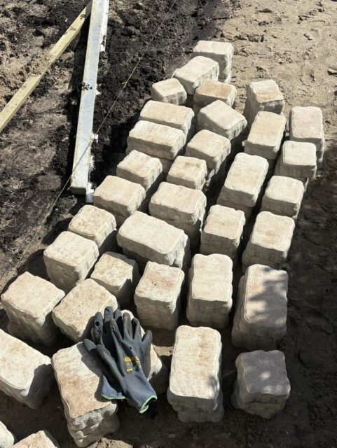 Een mooie natuurvriendelijke tuin mogen maken met o.a. voor in de winter een veilige plek om egels op te vangen. Weer eens een keer wat anders, maar super leuk om te maken! @ilonkavanwerkhoven en Marcel succes met het verder aanplanten van jullie tuin 🪴 🪏 
#sedum #kruipthijm #egel #lekkergroen