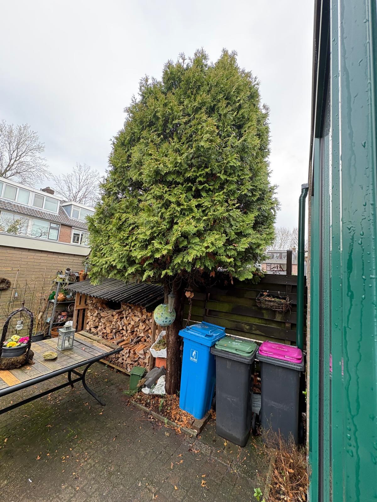Bestaande voortuin mogen herbestraten. In de voortuin een boomstronk weg gefreesd en in de achtertuin een boom weggehaald en de stronk weg gefreesd. Op die twee plekken worden in het najaar nieuwe bomen aangeplant. @jee.wee.cee @aartje.c bedankt voor de opdracht en de goede verzorging. ☕️
 #groen #herbestraten #boomstronkhakselaar